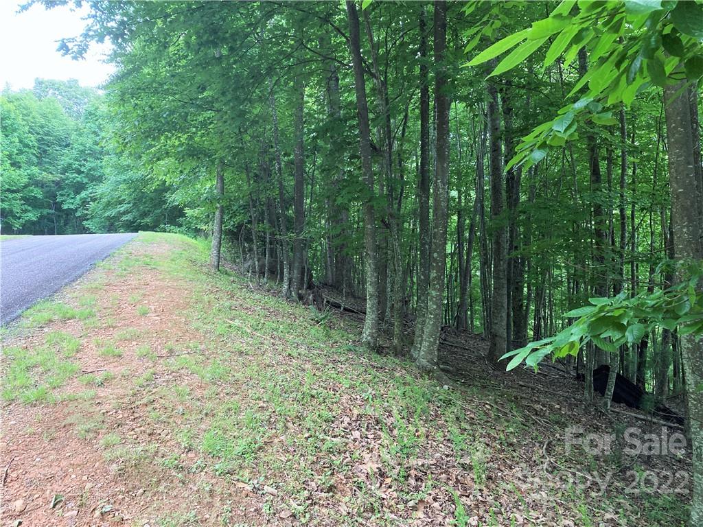 1161 Standing Deer Trace Arden NC 28704