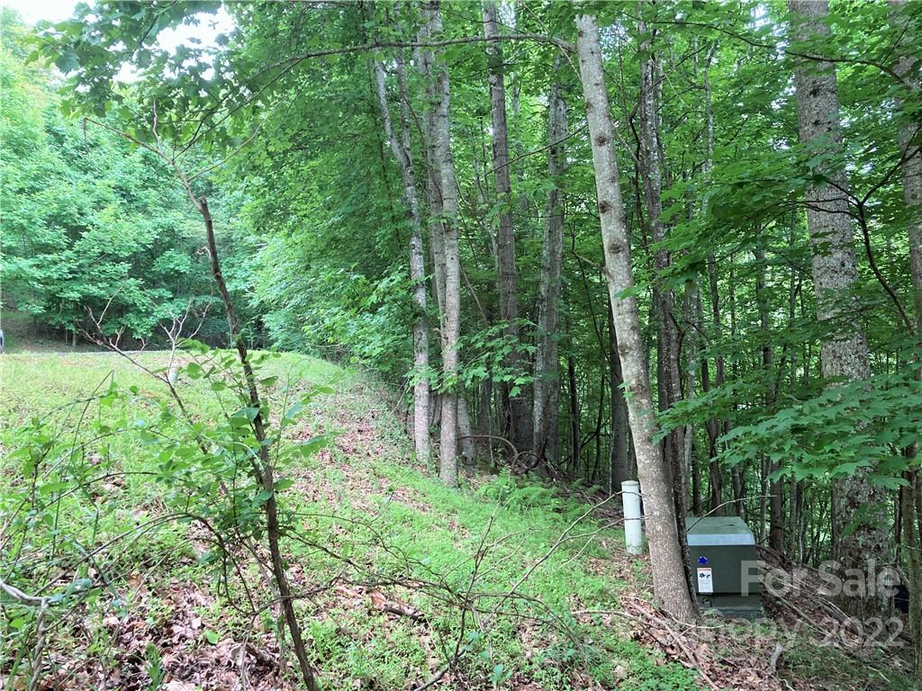 1161 Standing Deer Trace Arden NC 28704