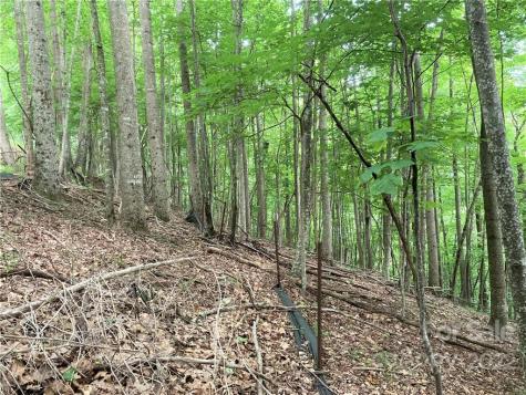 1161 Standing Deer Trace Arden NC 28704