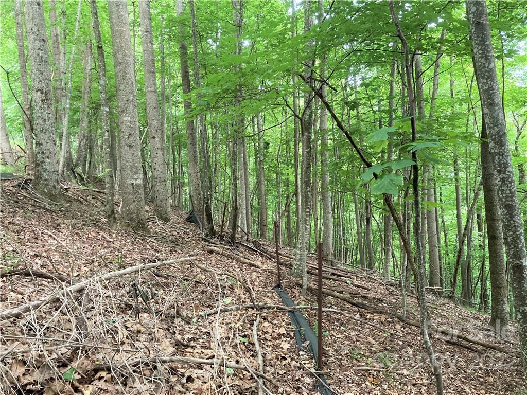 1161 Standing Deer Trace Arden NC 28704