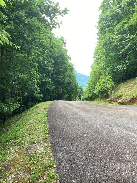 1161 Standing Deer Trace Arden NC 28704