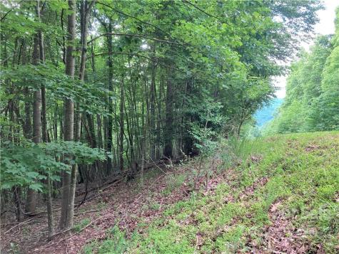 1161 Standing Deer Trace Arden NC 28704