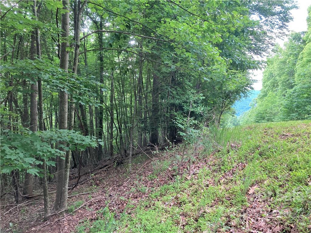 1161 Standing Deer Trace Arden NC 28704