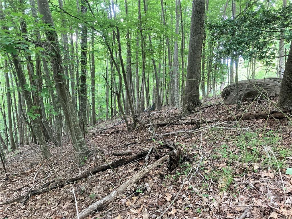 1161 Standing Deer Trace Arden NC 28704