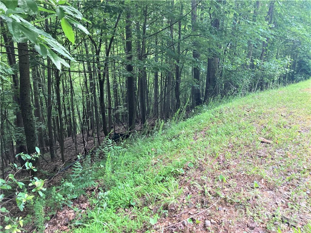 1161 Standing Deer Trace Arden NC 28704