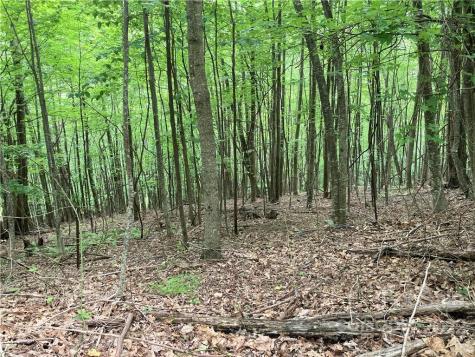 1161 Standing Deer Trace Arden NC 28704