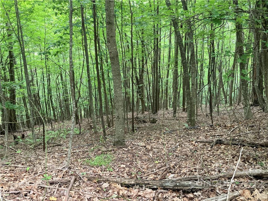 1161 Standing Deer Trace Arden NC 28704