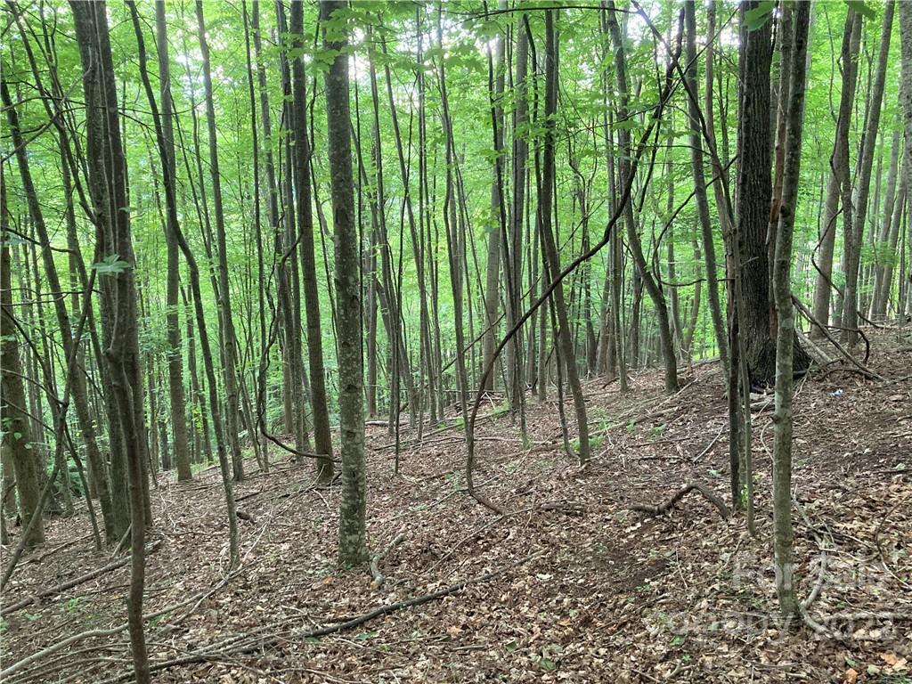 1161 Standing Deer Trace Arden NC 28704
