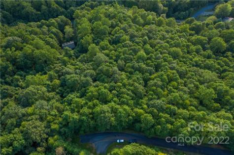 1161 Standing Deer Trace Arden NC 28704