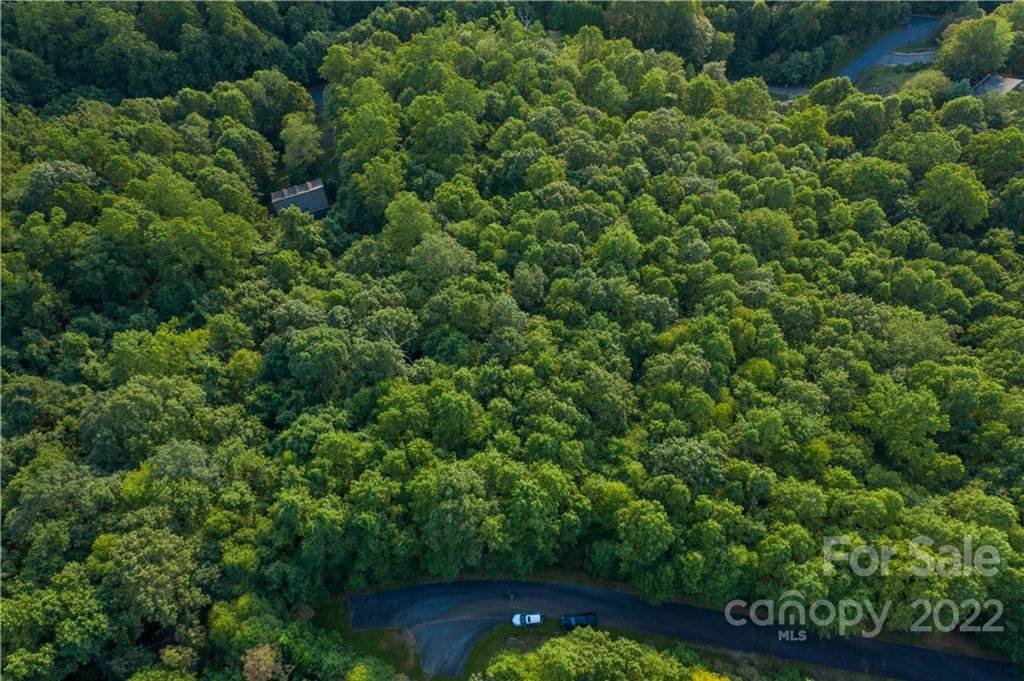 1161 Standing Deer Trace Arden NC 28704