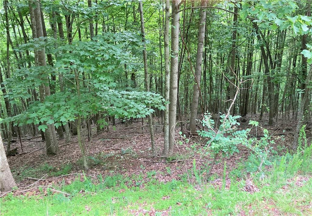 1161 Standing Deer Trace Arden NC 28704