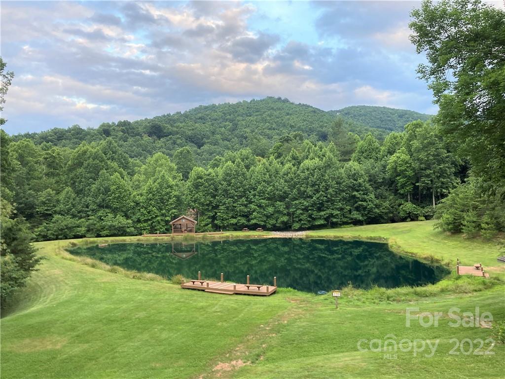 1161 Standing Deer Trace Arden NC 28704