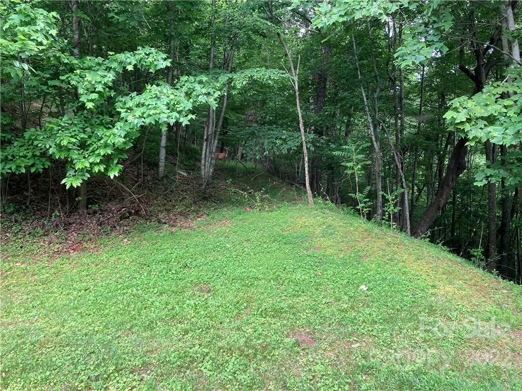 1161 Standing Deer Trace Arden NC 28704