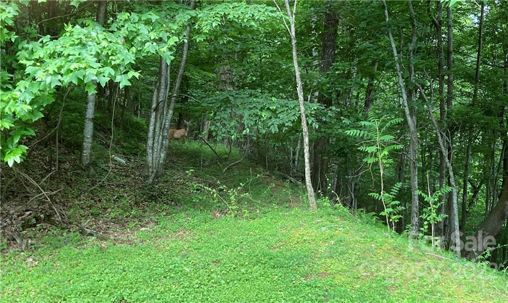 1161 Standing Deer Trace Arden NC 28704