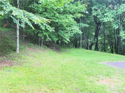 1161 Standing Deer Trace Arden NC 28704