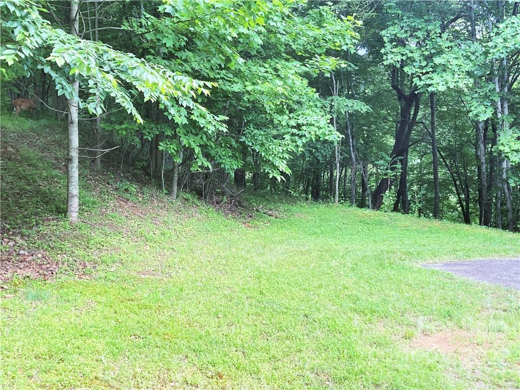 1161 Standing Deer Trace Arden NC 28704