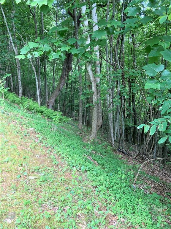 1161 Standing Deer Trace Arden NC 28704