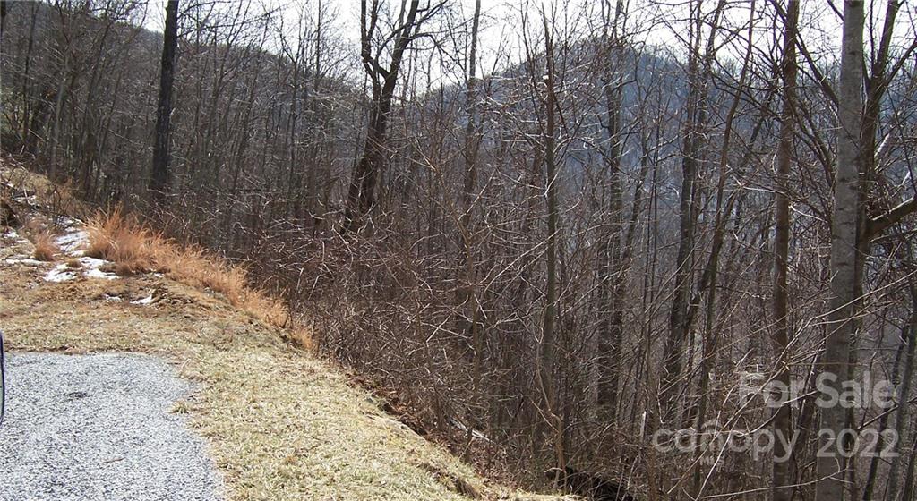1161 Standing Deer Trace Arden NC 28704