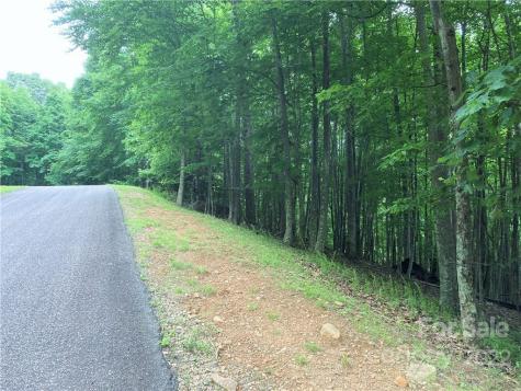 1161 Standing Deer Trace Arden NC 28704