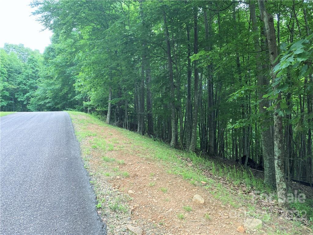 1161 Standing Deer Trace Arden NC 28704