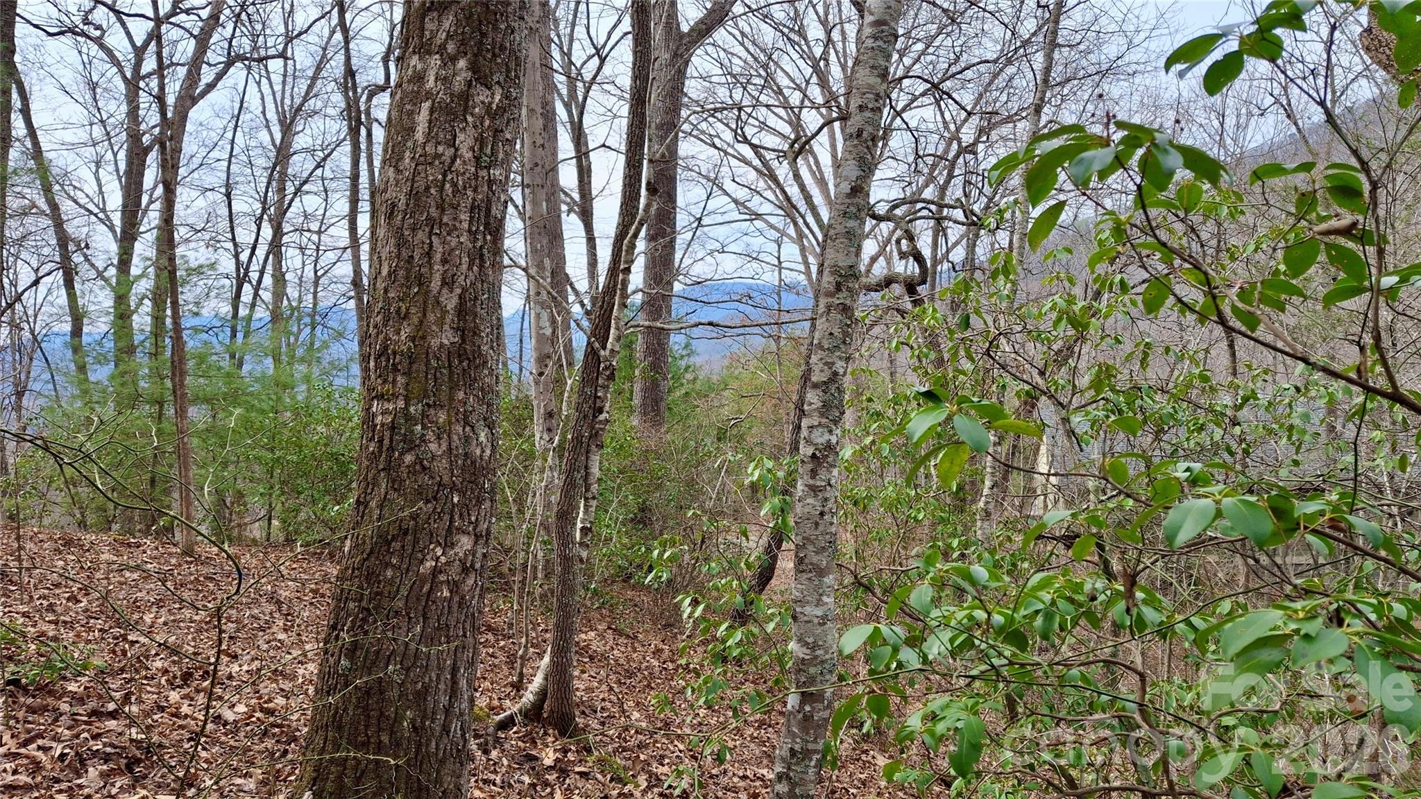 0 Hollywalk Trail Sylva NC 28779