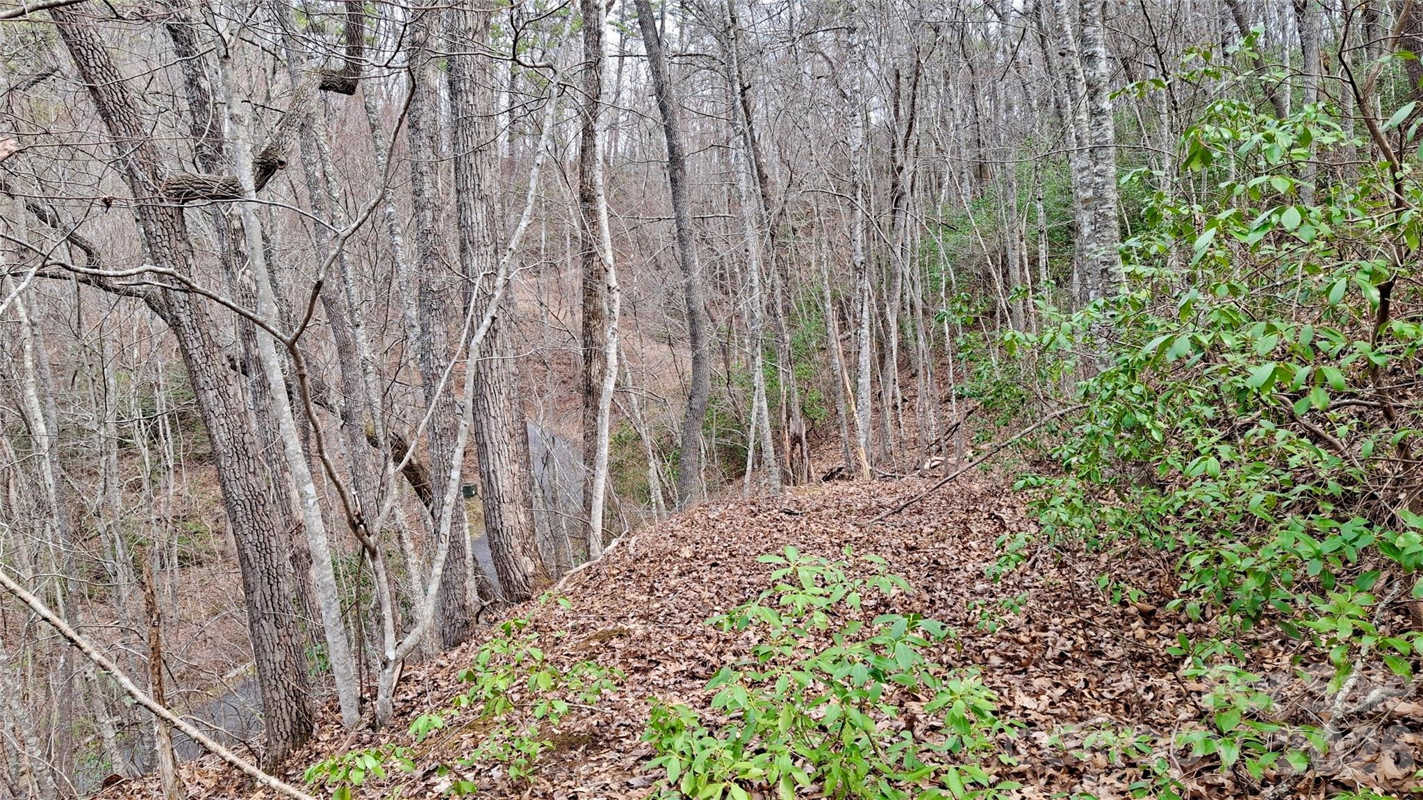 0 Hollywalk Trail Sylva NC 28779