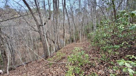 0 Hollywalk Trail Sylva NC 28779