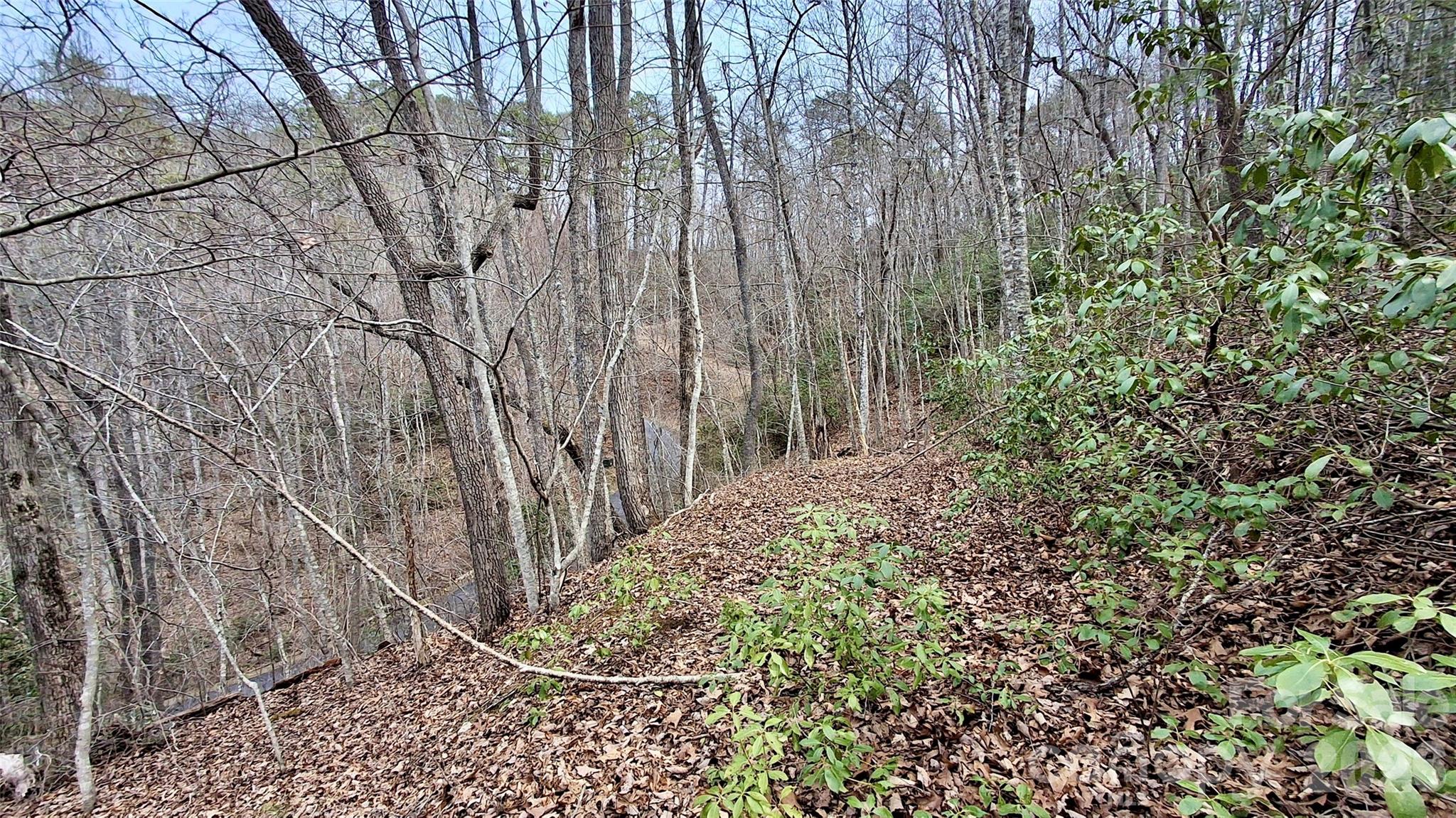 0 Hollywalk Trail Sylva NC 28779