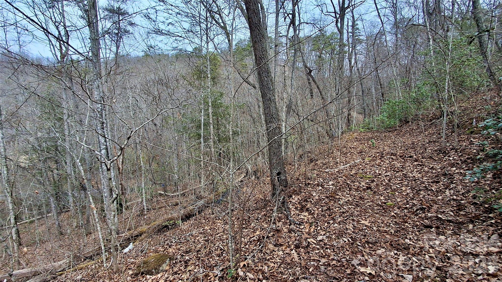 0 Hollywalk Trail Sylva NC 28779