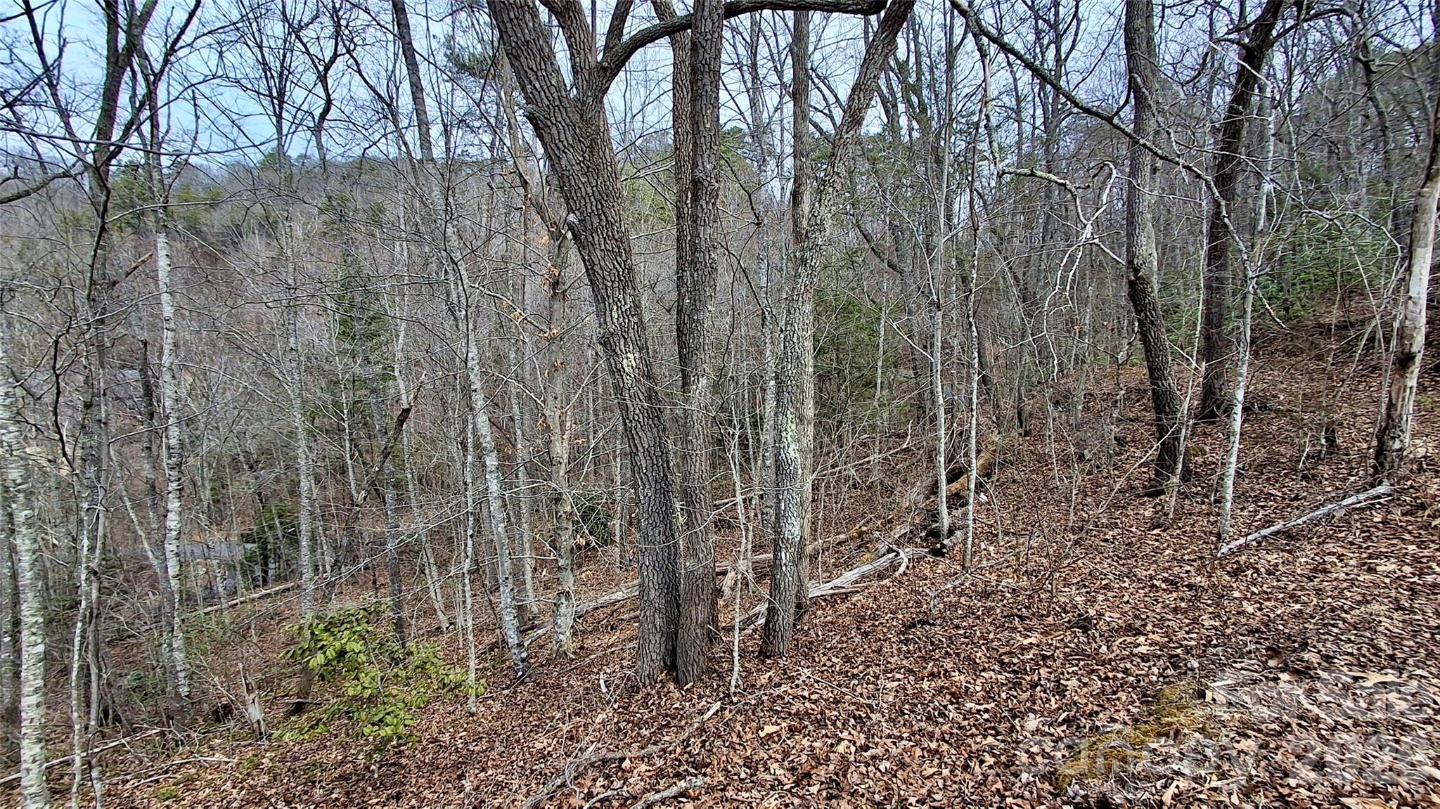 0 Hollywalk Trail Sylva NC 28779