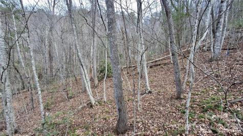 0 Hollywalk Trail Sylva NC 28779