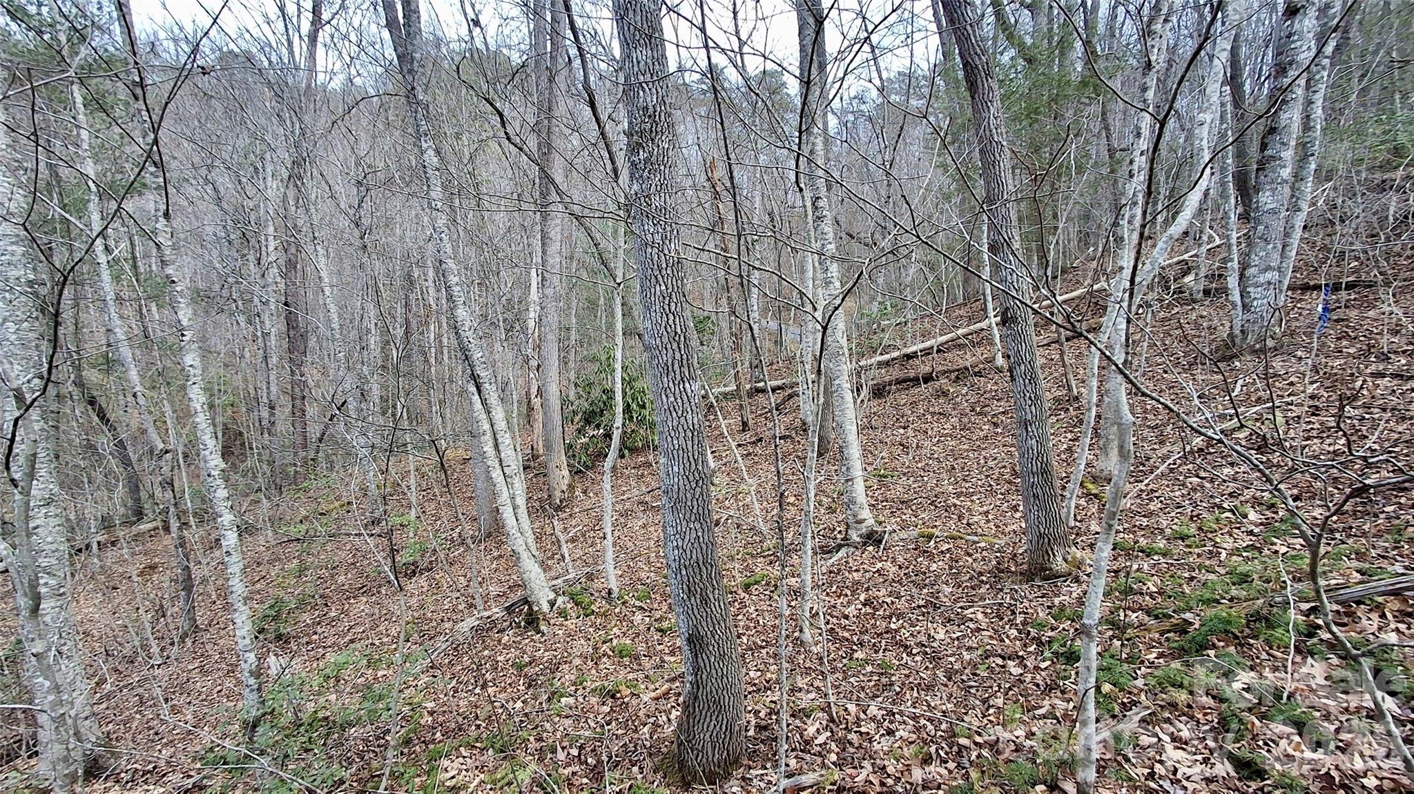 0 Hollywalk Trail Sylva NC 28779