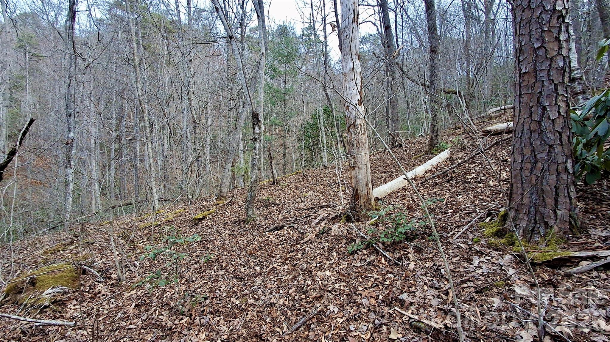 0 Hollywalk Trail Sylva NC 28779