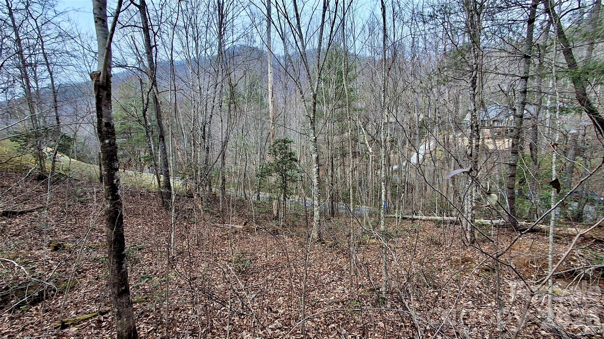 0 Hollywalk Trail Sylva NC 28779