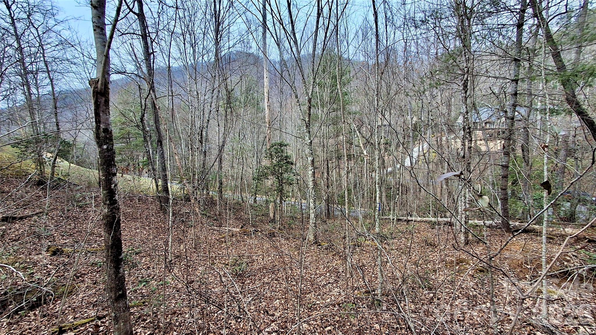0 Hollywalk Trail Sylva NC 28779