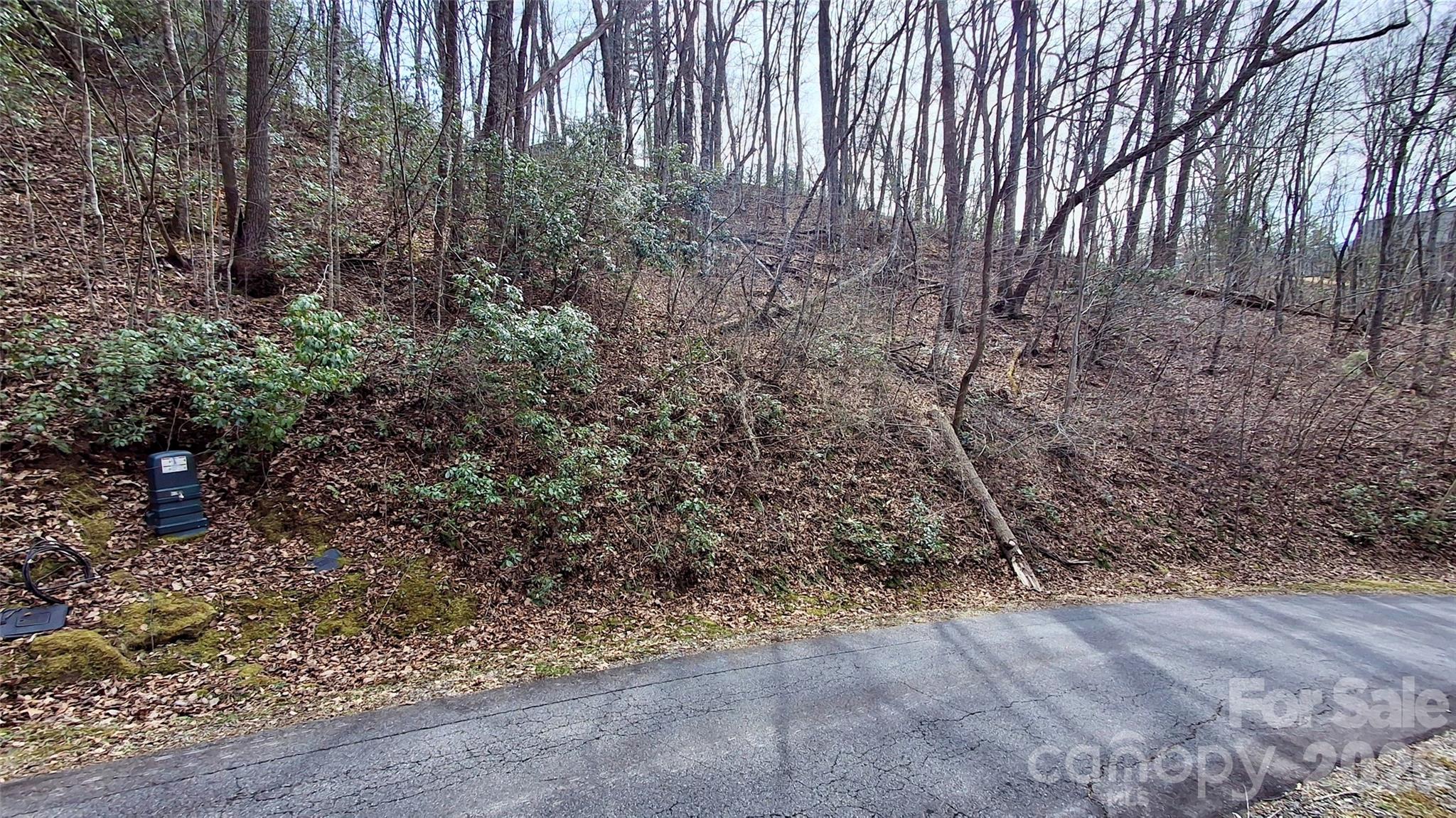 0 Hollywalk Trail Sylva NC 28779