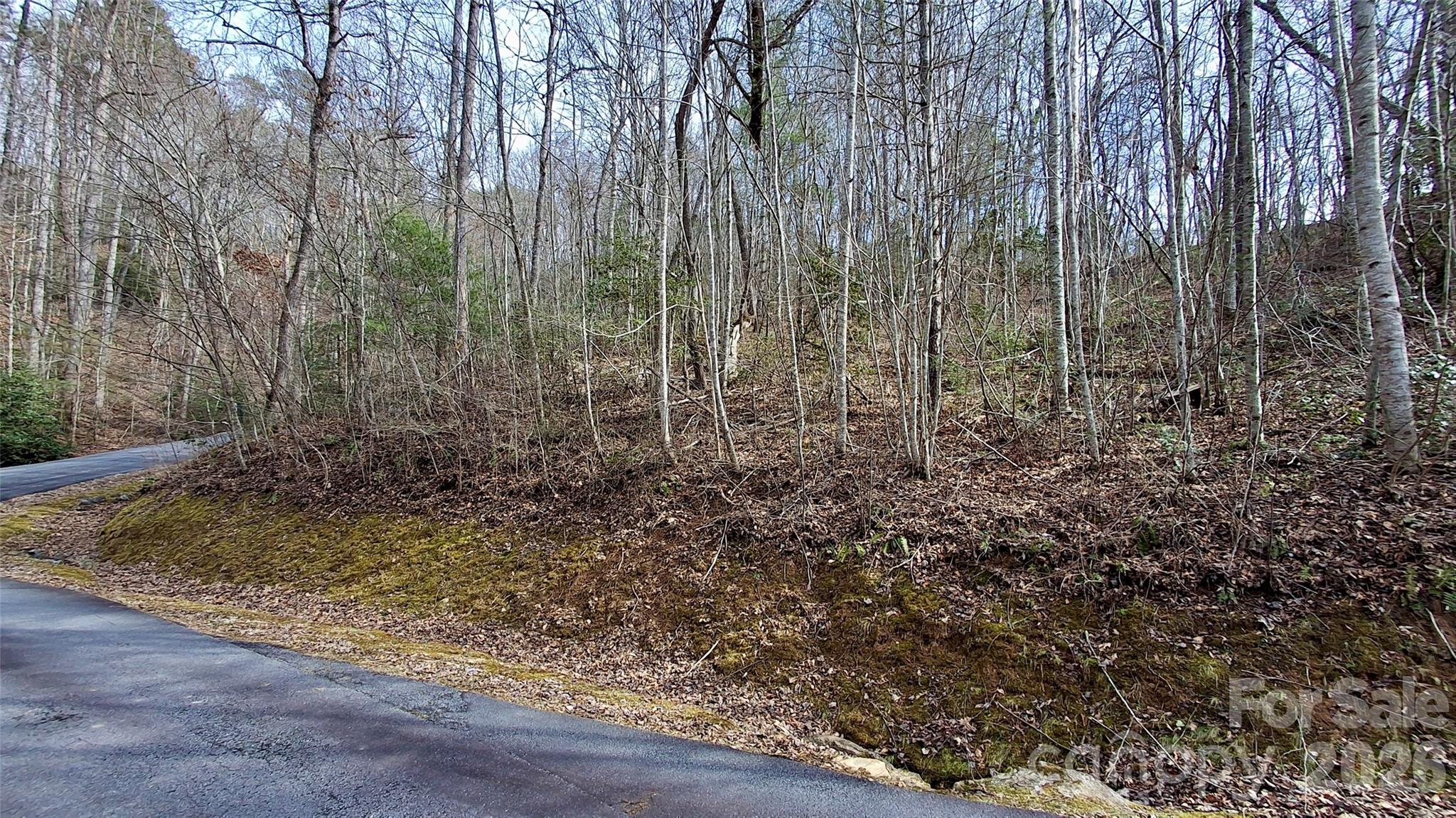 0 Hollywalk Trail Sylva NC 28779