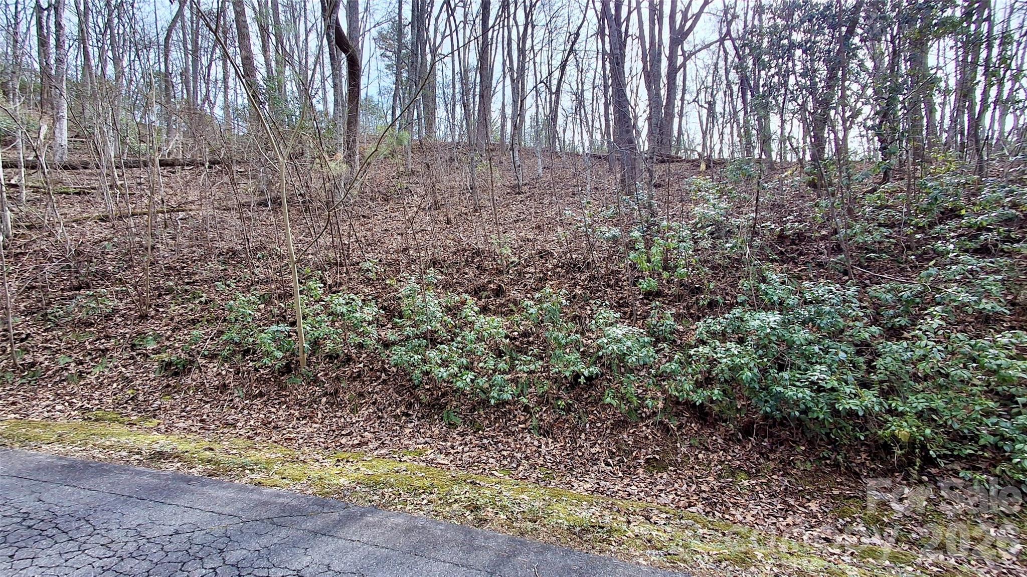0 Hollywalk Trail Sylva NC 28779