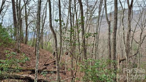 0 Hollywalk Trail Sylva NC 28779