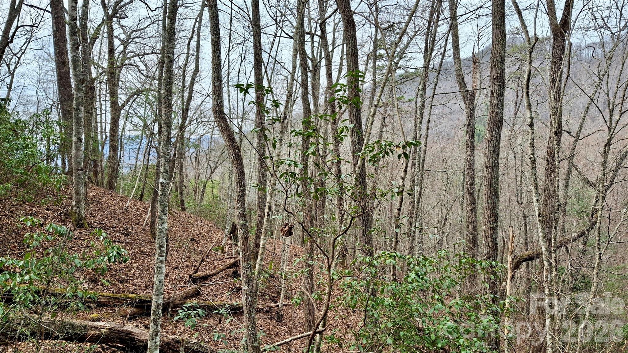 0 Hollywalk Trail Sylva NC 28779