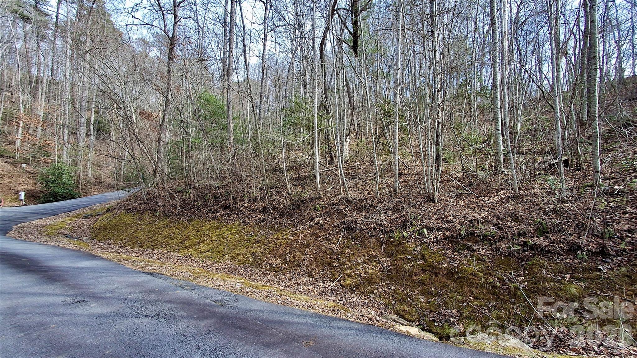 0 Hollywalk Trail Sylva NC 28779