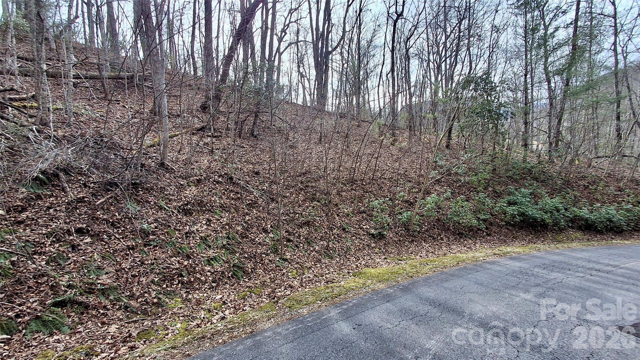0 Hollywalk Trail Sylva NC 28779