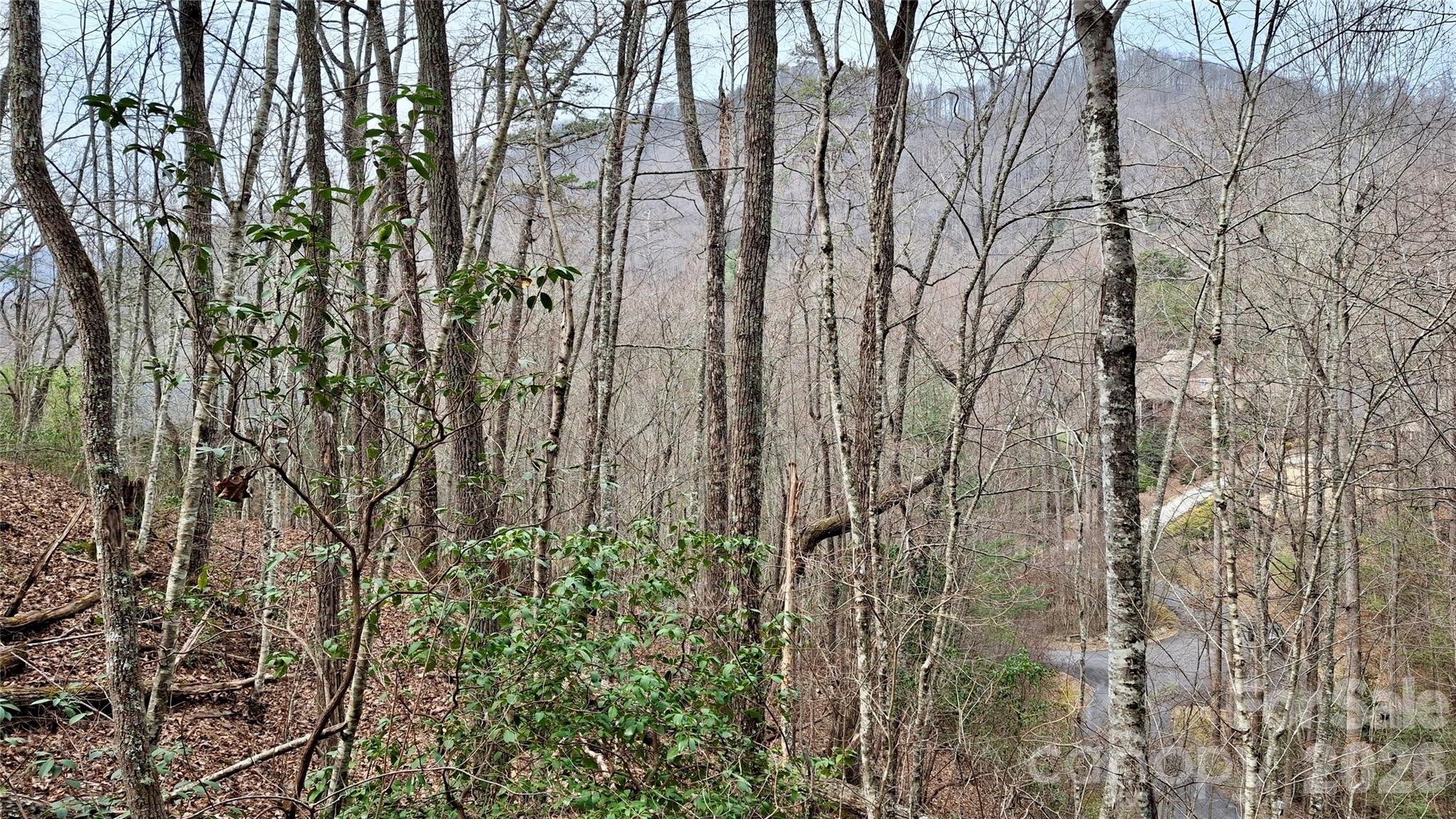 0 Hollywalk Trail Sylva NC 28779