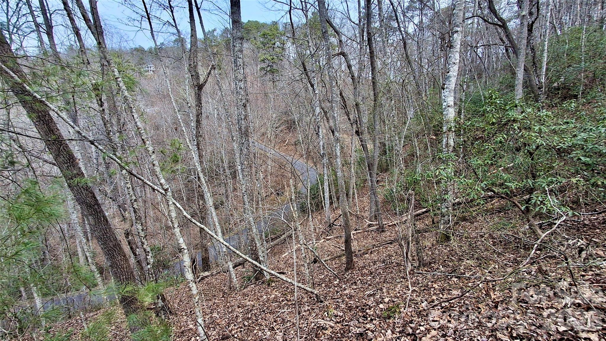 0 Hollywalk Trail Sylva NC 28779