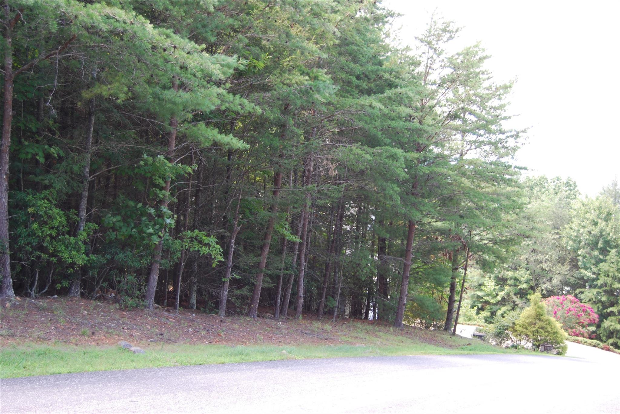 65 Dockside Drive Nebo NC 28761