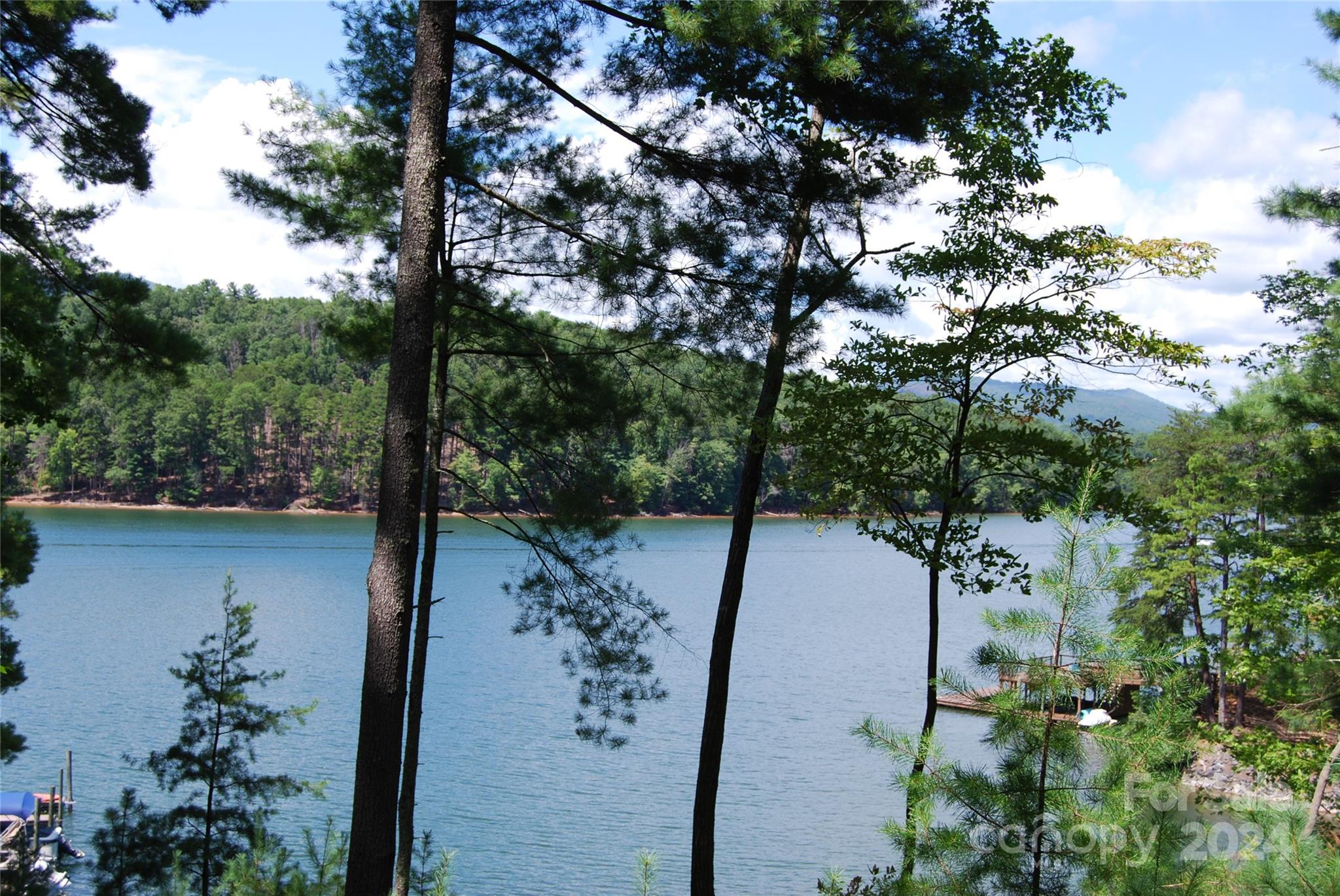 65 Dockside Drive Nebo NC 28761