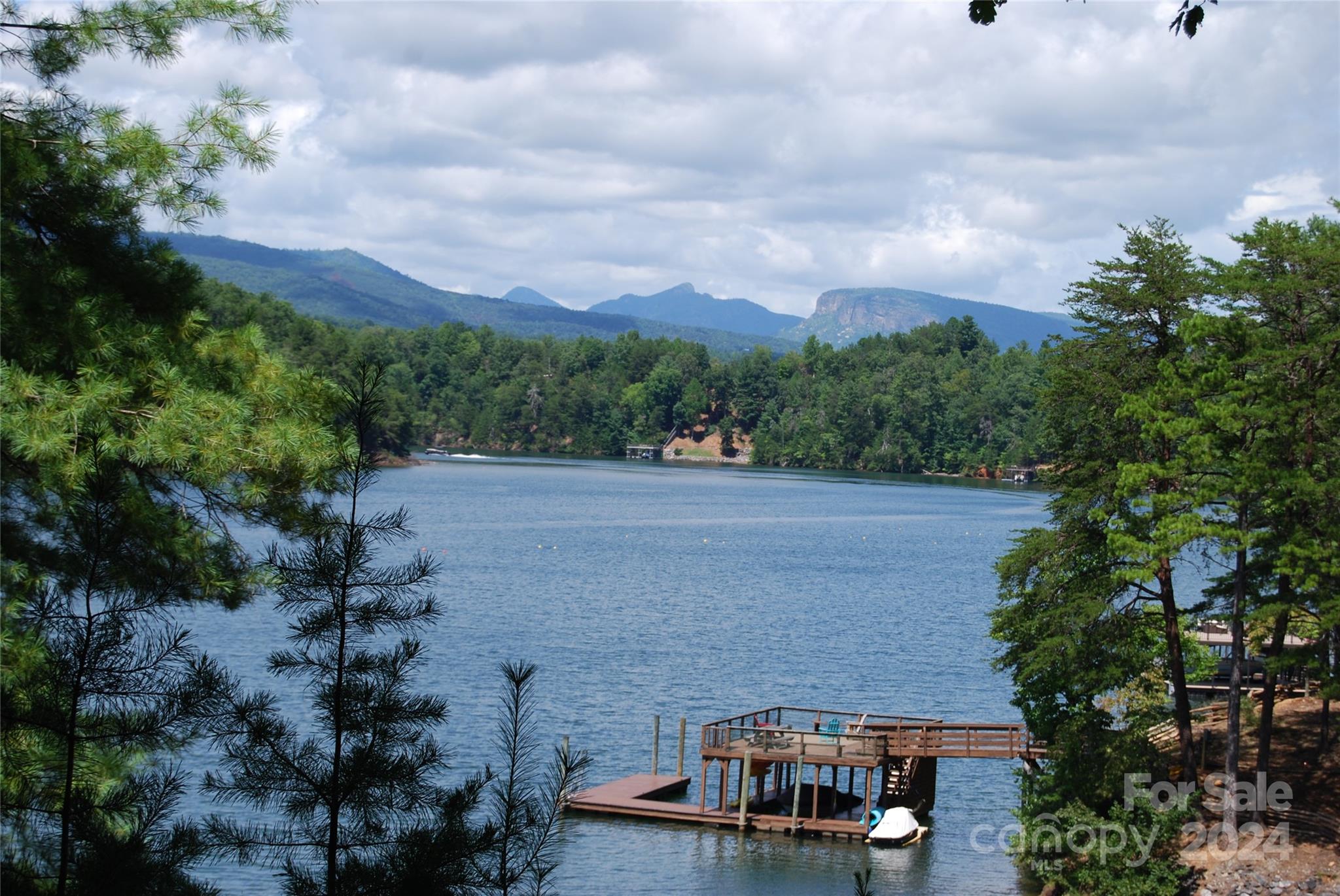65 Dockside Drive Nebo NC 28761