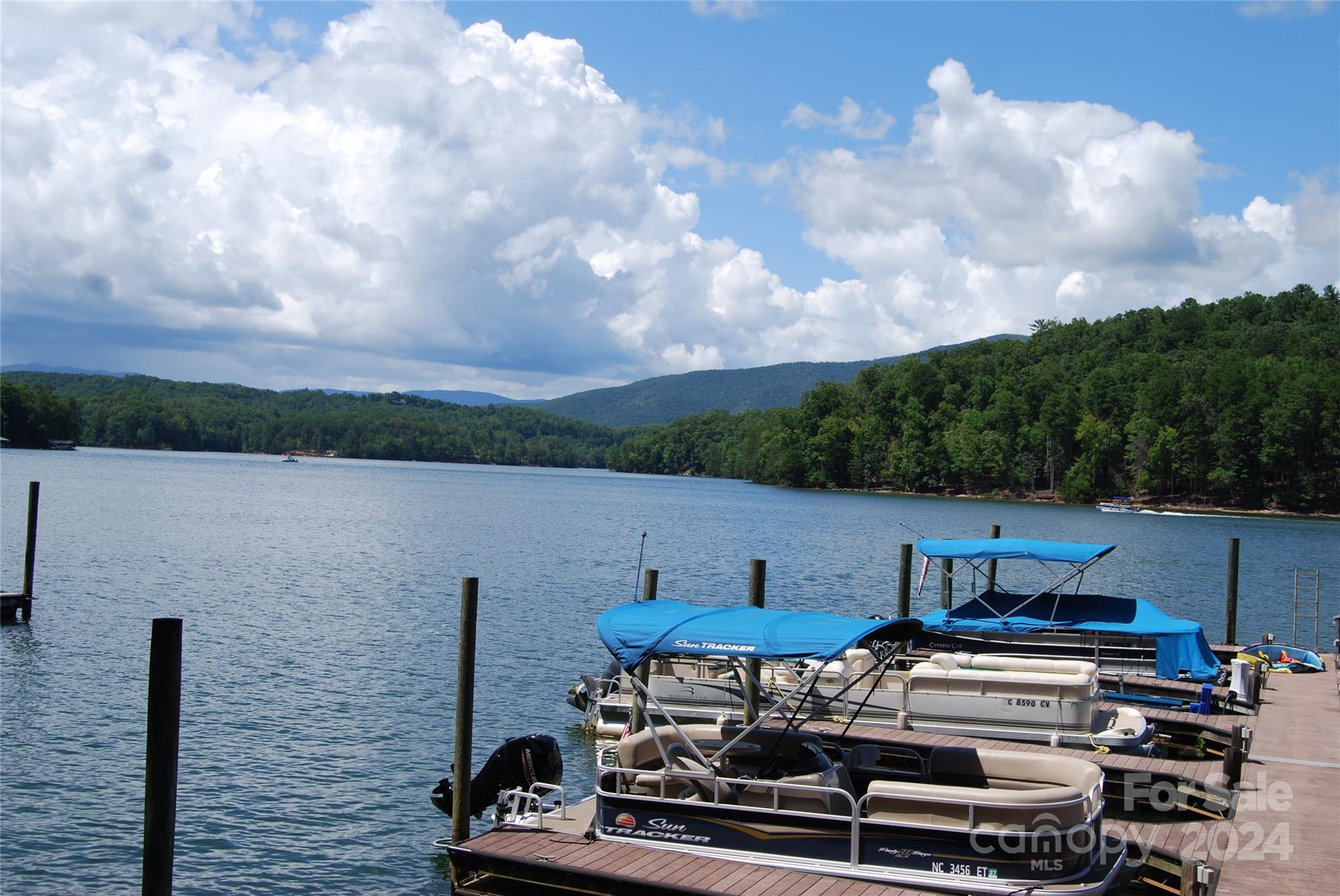 65 Dockside Drive Nebo NC 28761