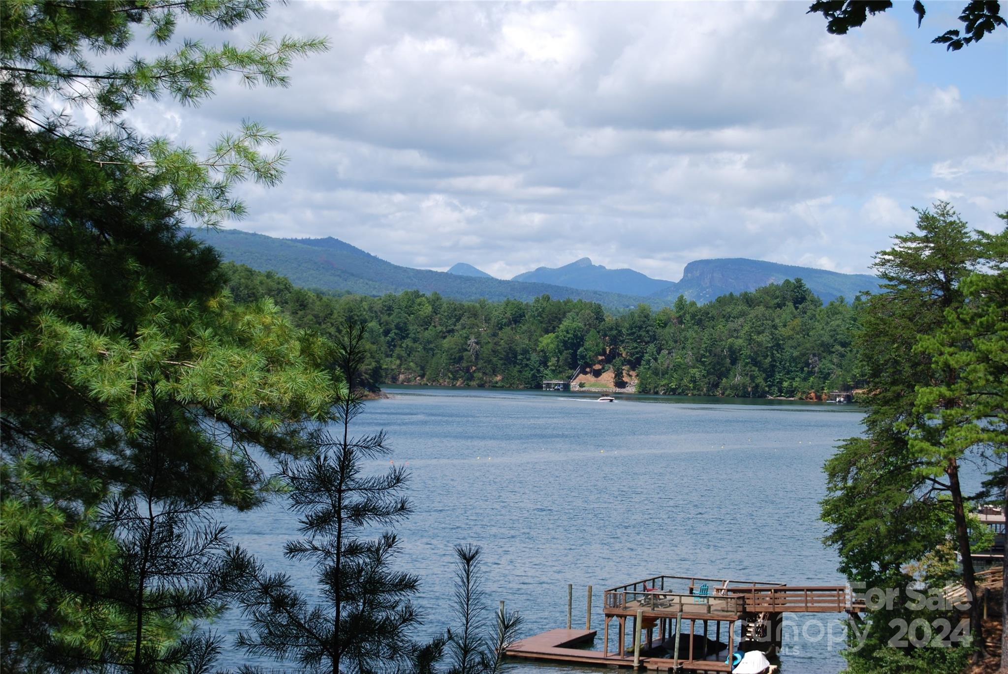 65 Dockside Drive Nebo NC 28761