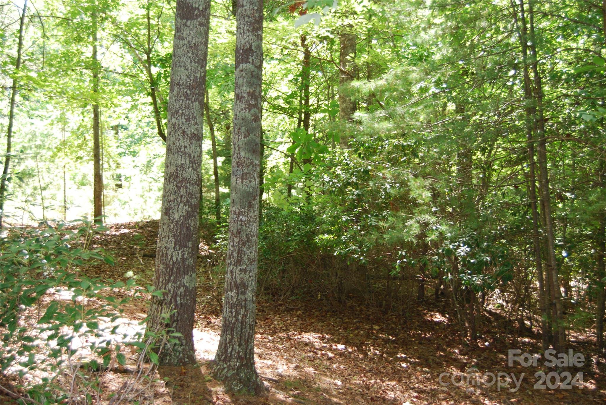 65 Dockside Drive Nebo NC 28761